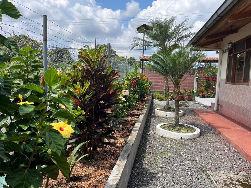 Garden view