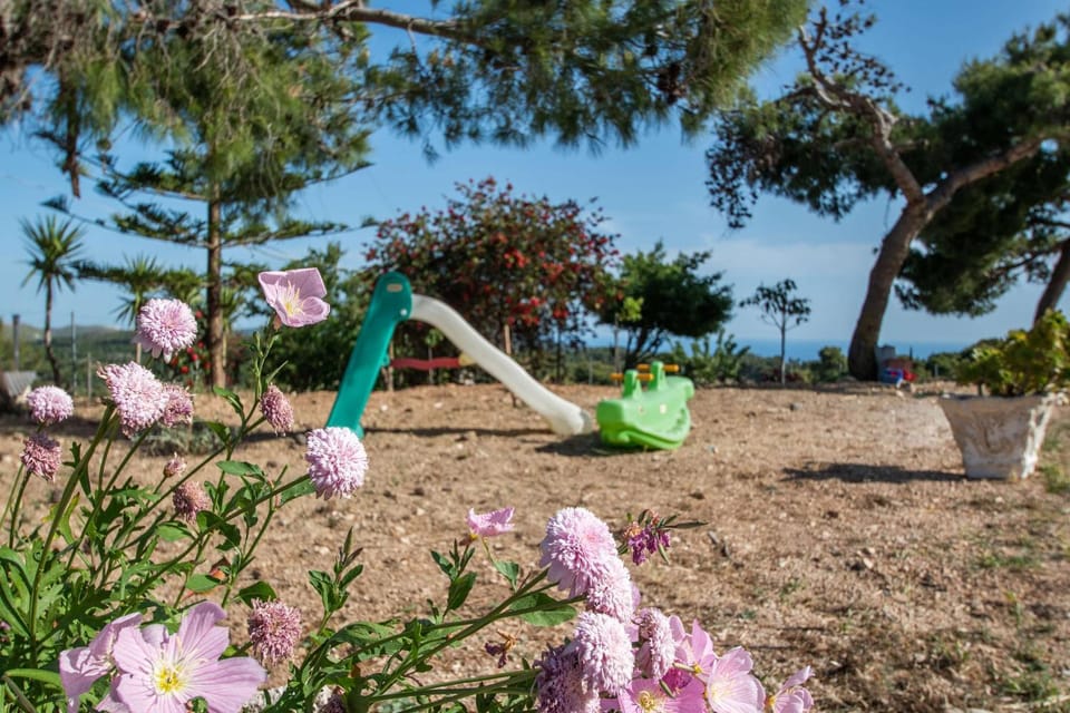 Children play ground, Garden