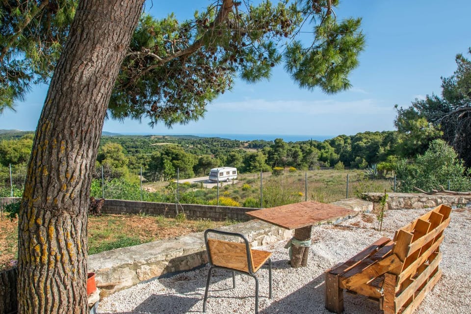 Natural landscape, Garden, View (from property/room), Hiking