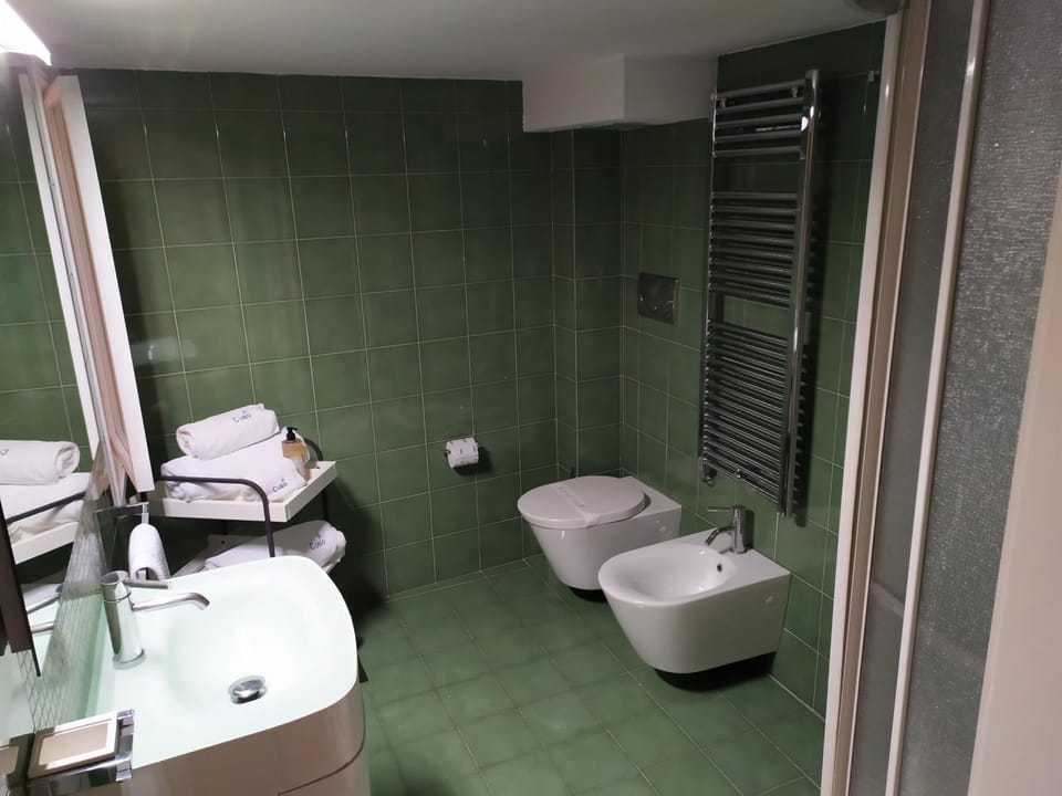 Toilet, Bathroom, bidet