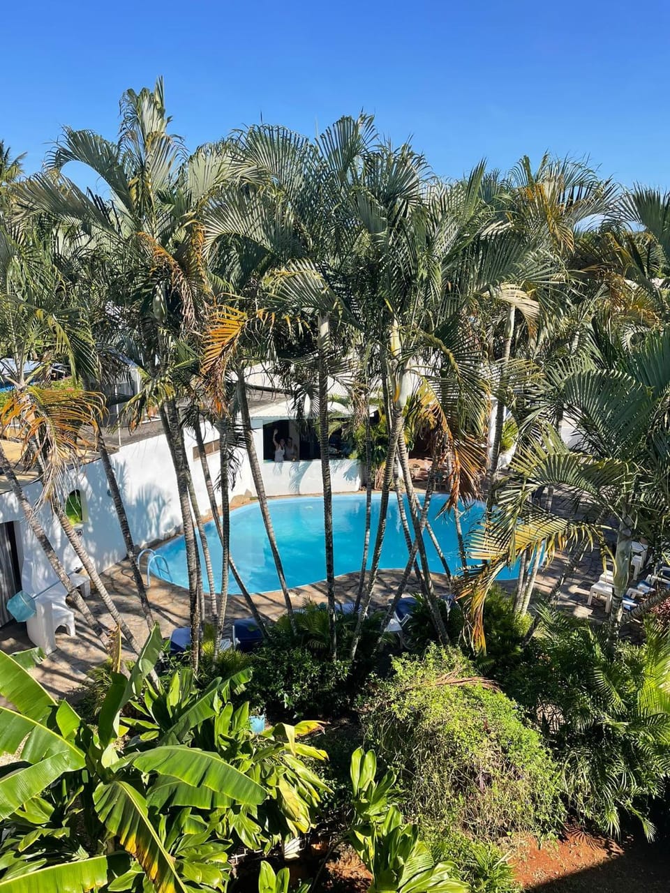 Garden, Swimming pool