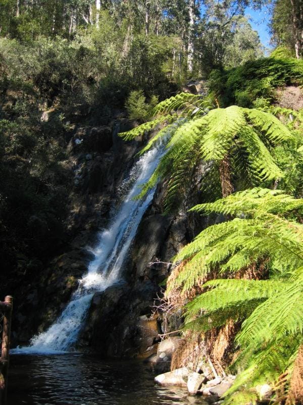 Natural landscape