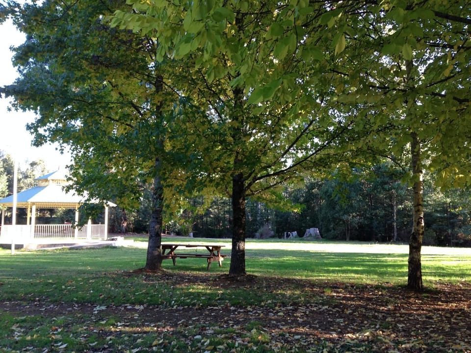 Nearby landmark, Natural landscape, Garden