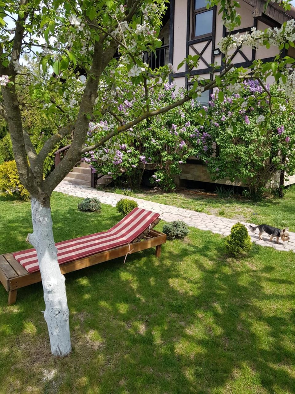 Natural landscape, Garden, Garden, Garden view
