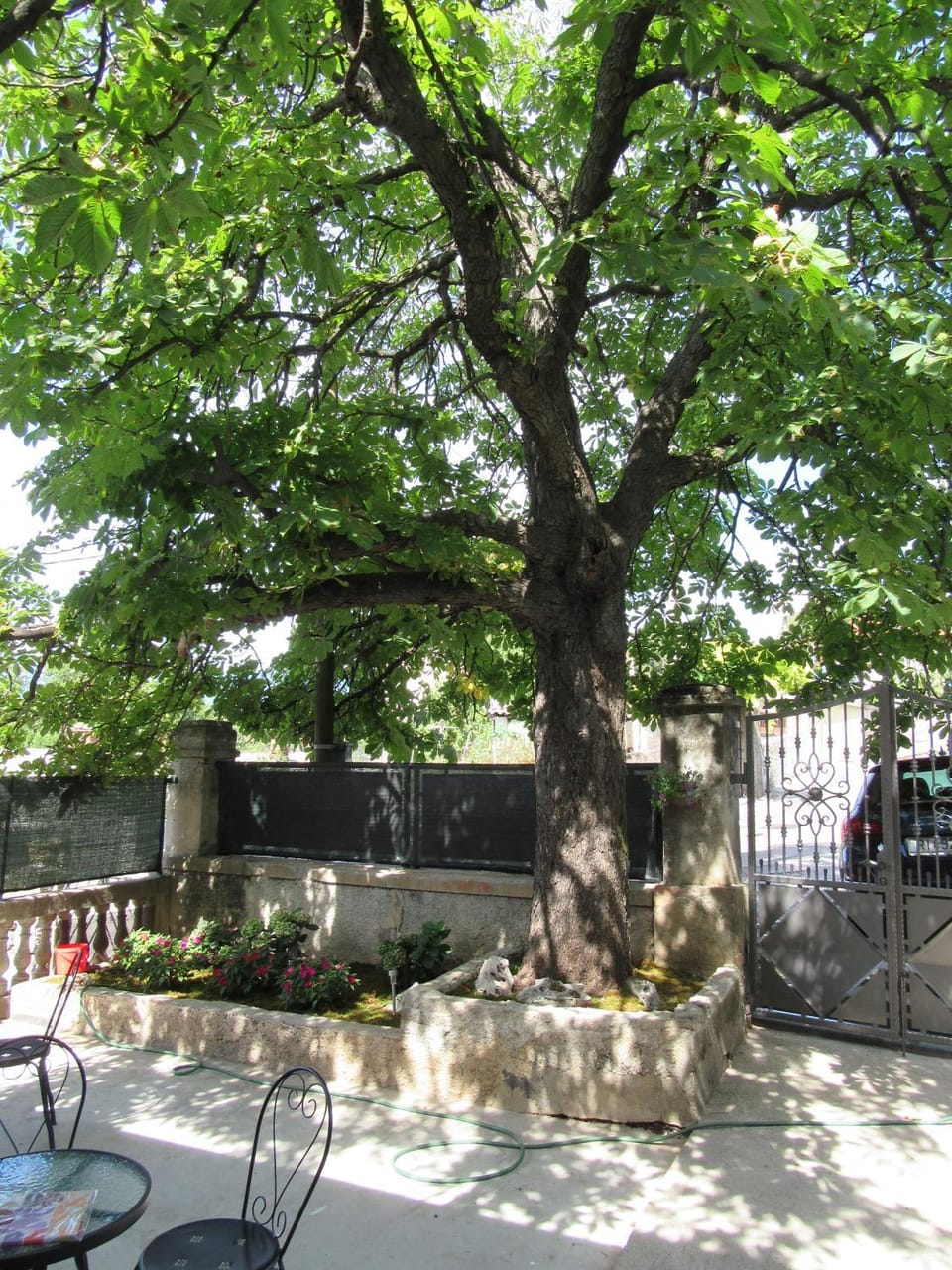 Patio, Spring, Natural landscape, Garden, Balcony/Terrace, Seating area, On site
