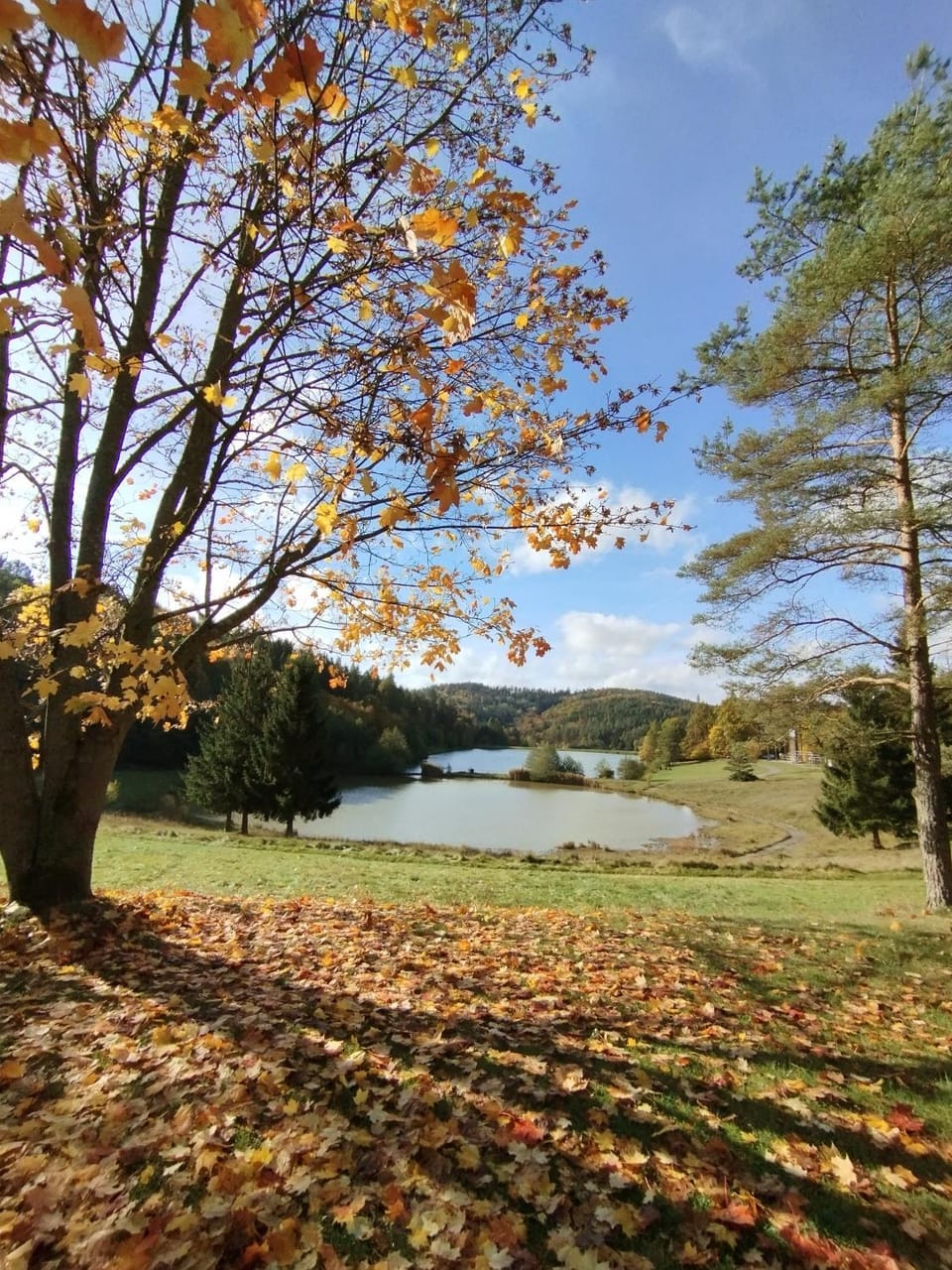 Neighbourhood, Natural landscape, Fishing, Hiking