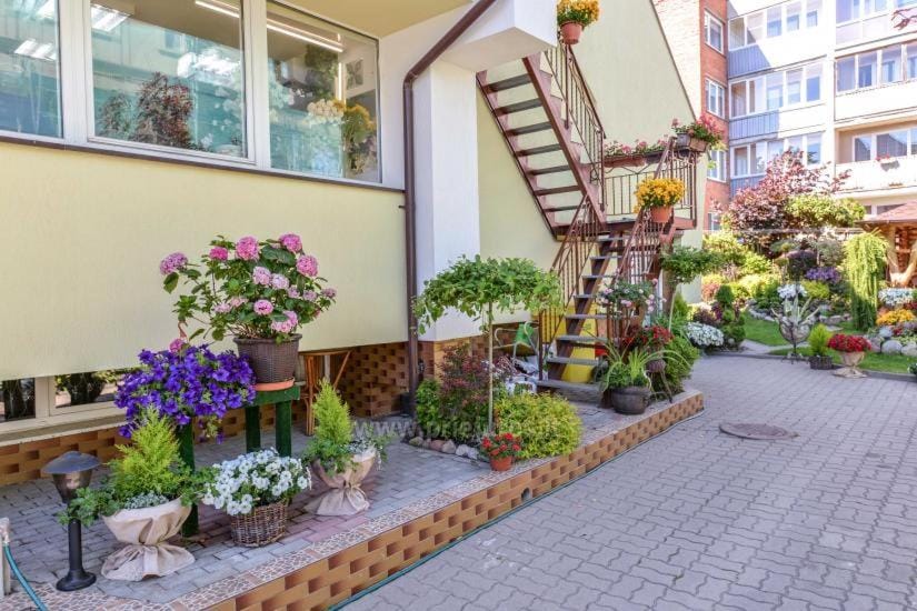 Senojo turgaus 9 Apartment in Palanga