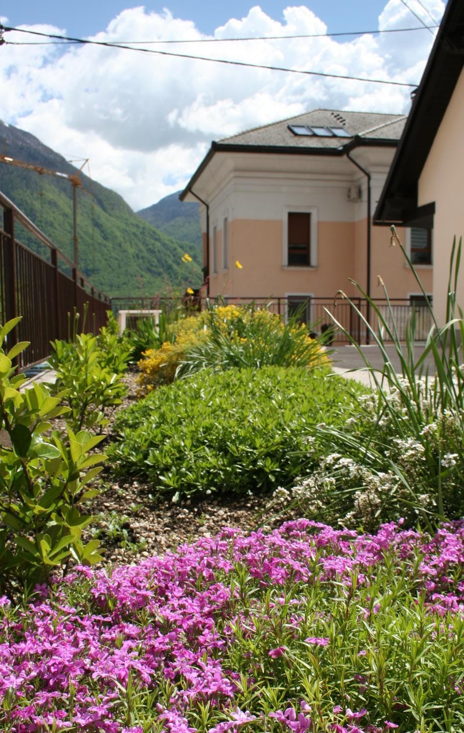 Patio, Neighbourhood, Mountain view, Street view