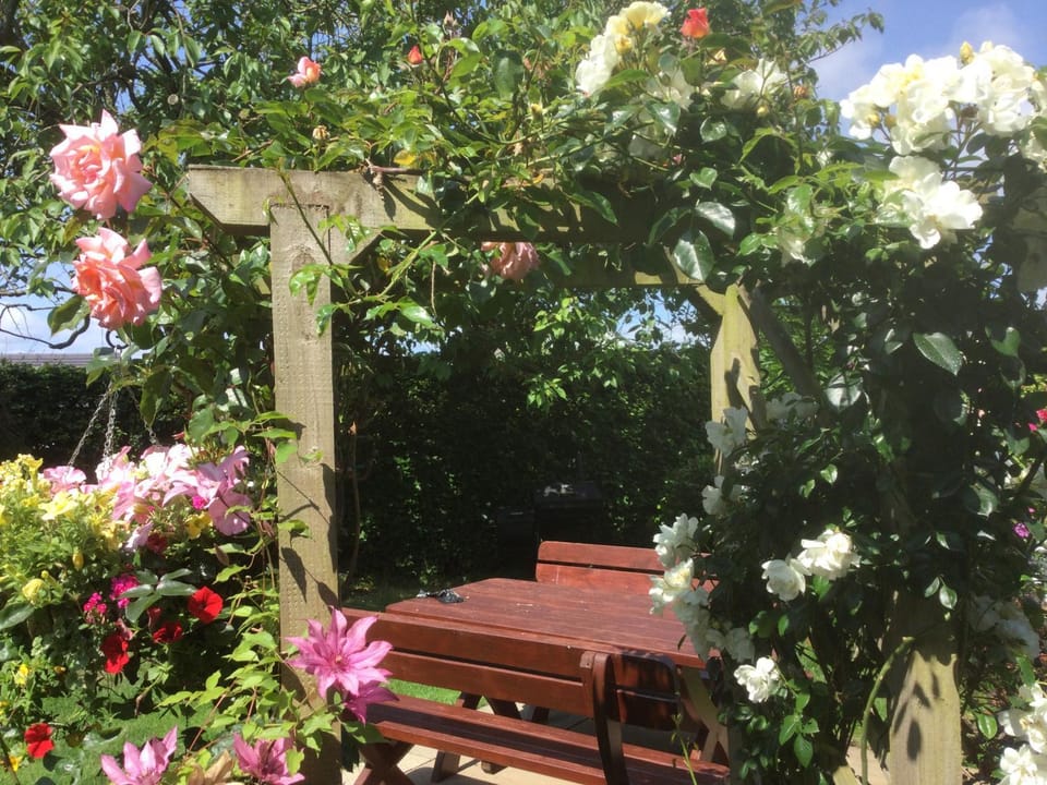 Angel Cottage Bed and Breakfast in Scotland