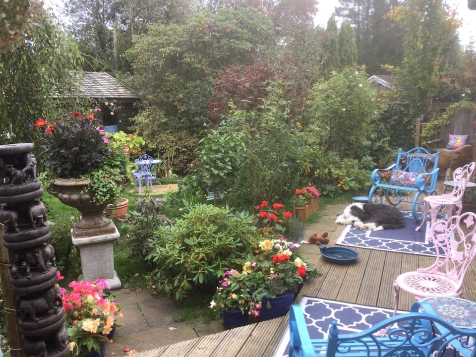 Angel Cottage Bed and Breakfast in Scotland