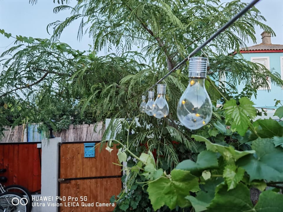 Garden, Garden, Garden view, Garden view