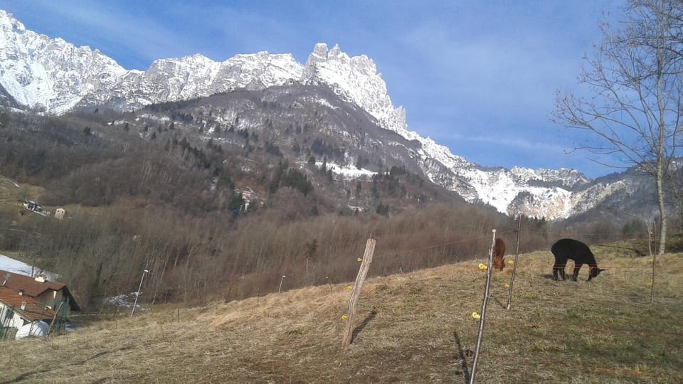 Casa da 2 a 7 posti nelle Piccole Dolomiti House in Veneto