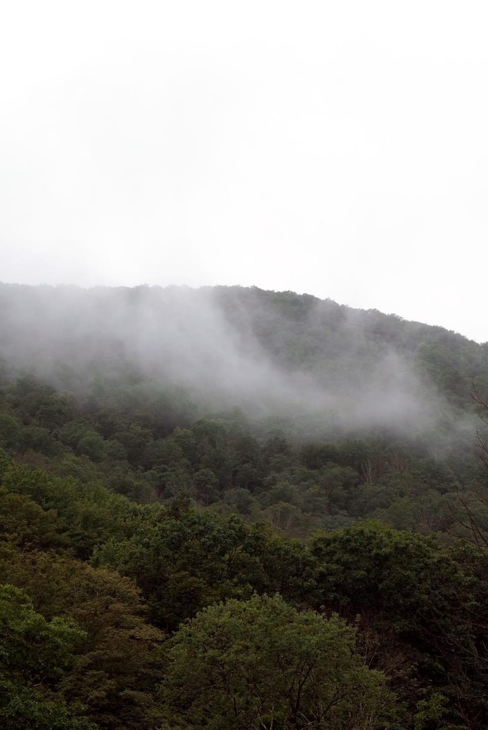 Natural landscape