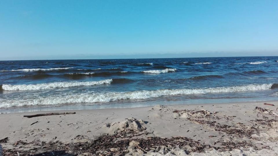 Sobie-Wyspa Domki pod Brzozami Nature lodge in Gdansk