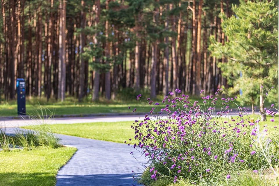 Natural landscape, Garden view