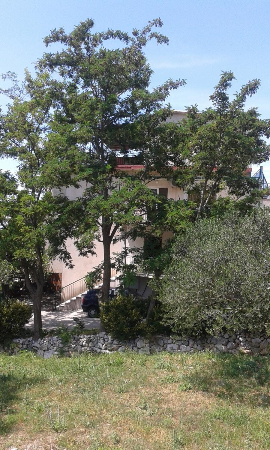 Location, children, Family
