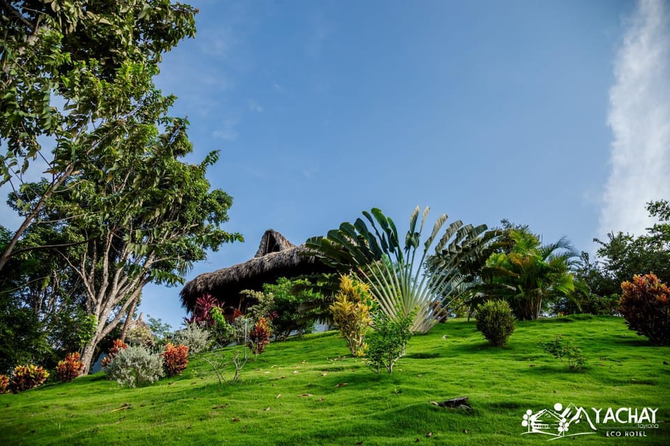 Natural landscape, Garden, Garden