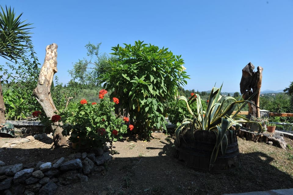 Garden view