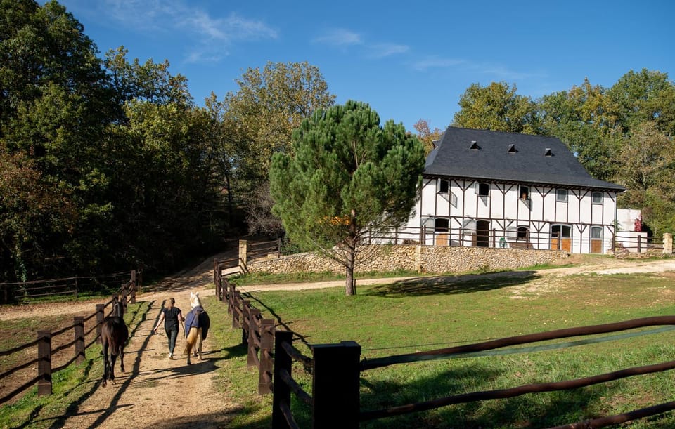 Cabane de La Mésange Chalet in Nouvelle-Aquitaine