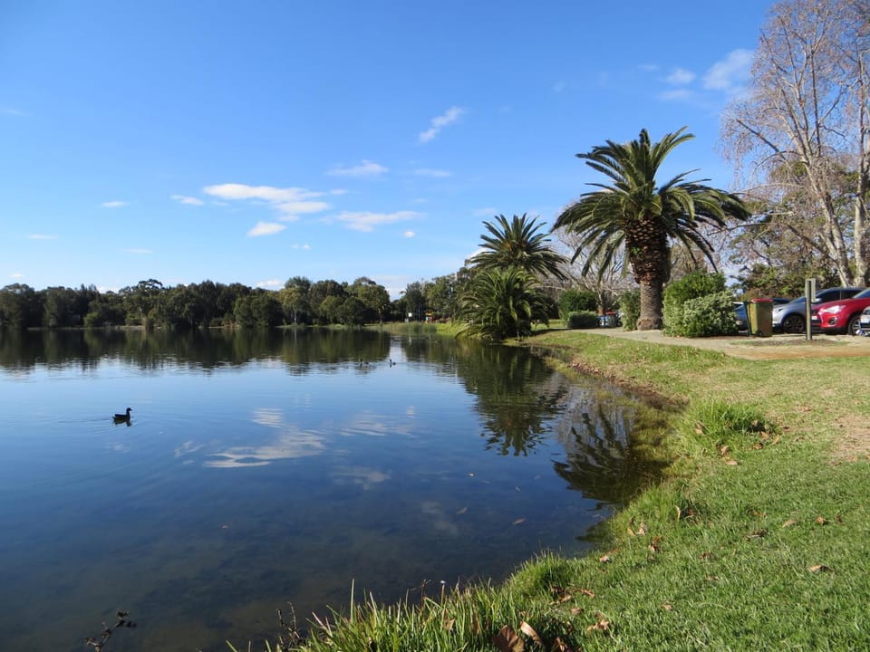 Lake view