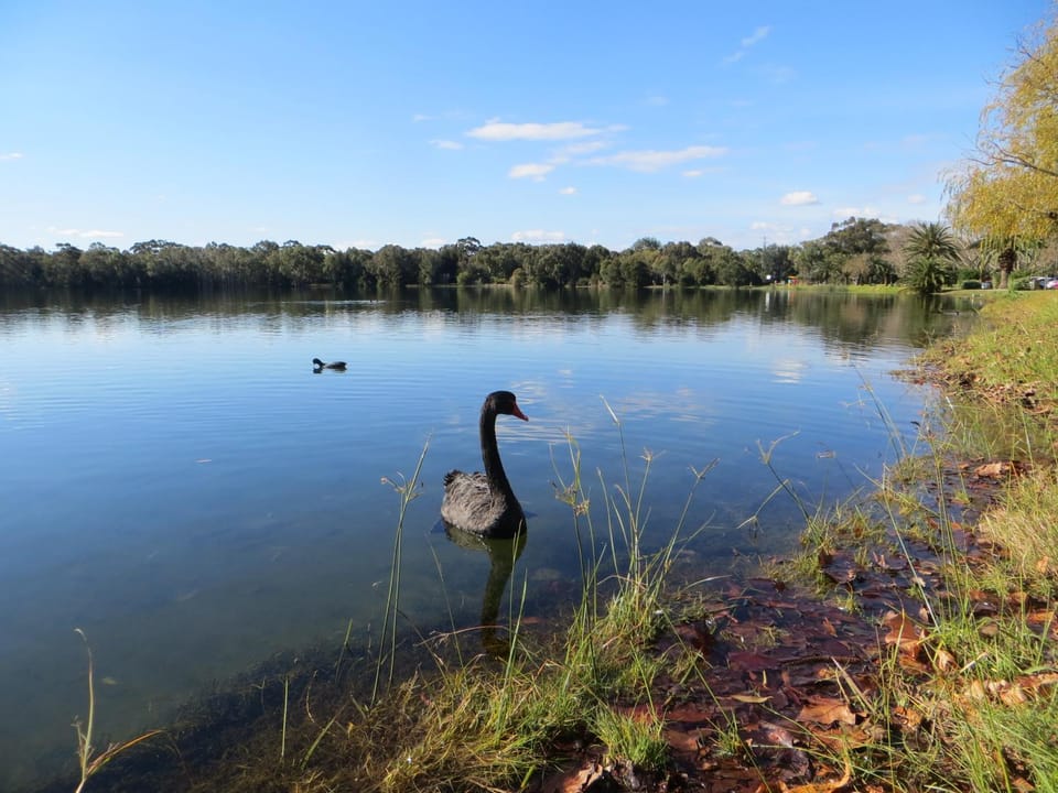 Natural landscape, Lake view