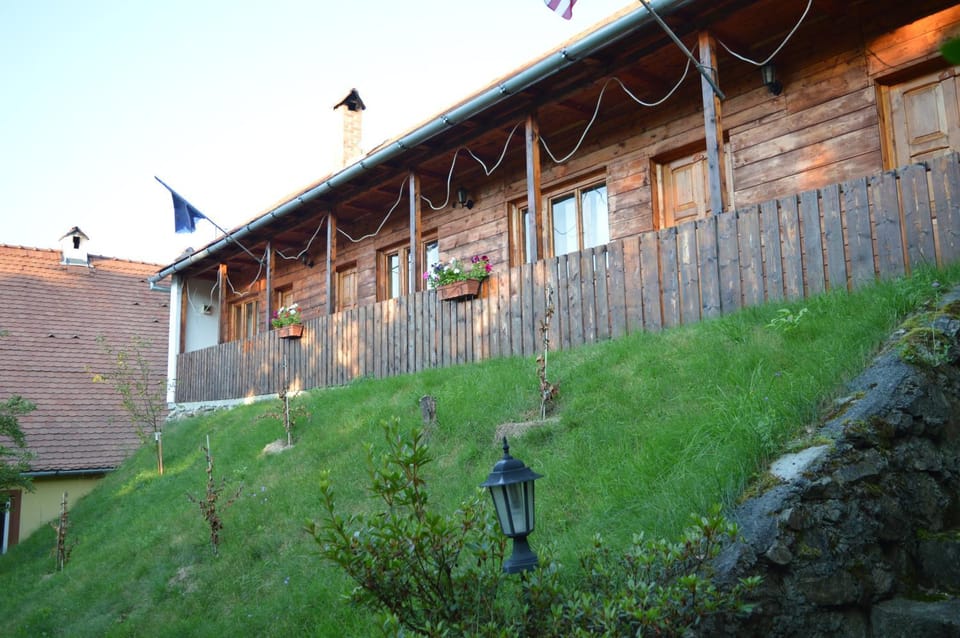 Pensiunea Morariu Bed and Breakfast in Romania
