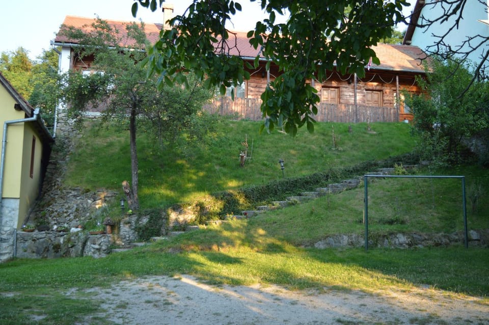 Pensiunea Morariu Bed and Breakfast in Romania
