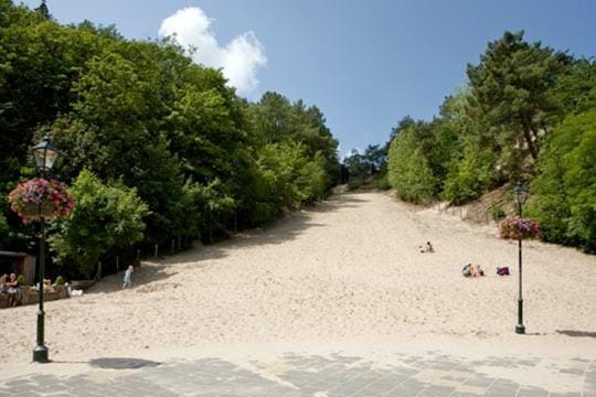 Natural landscape