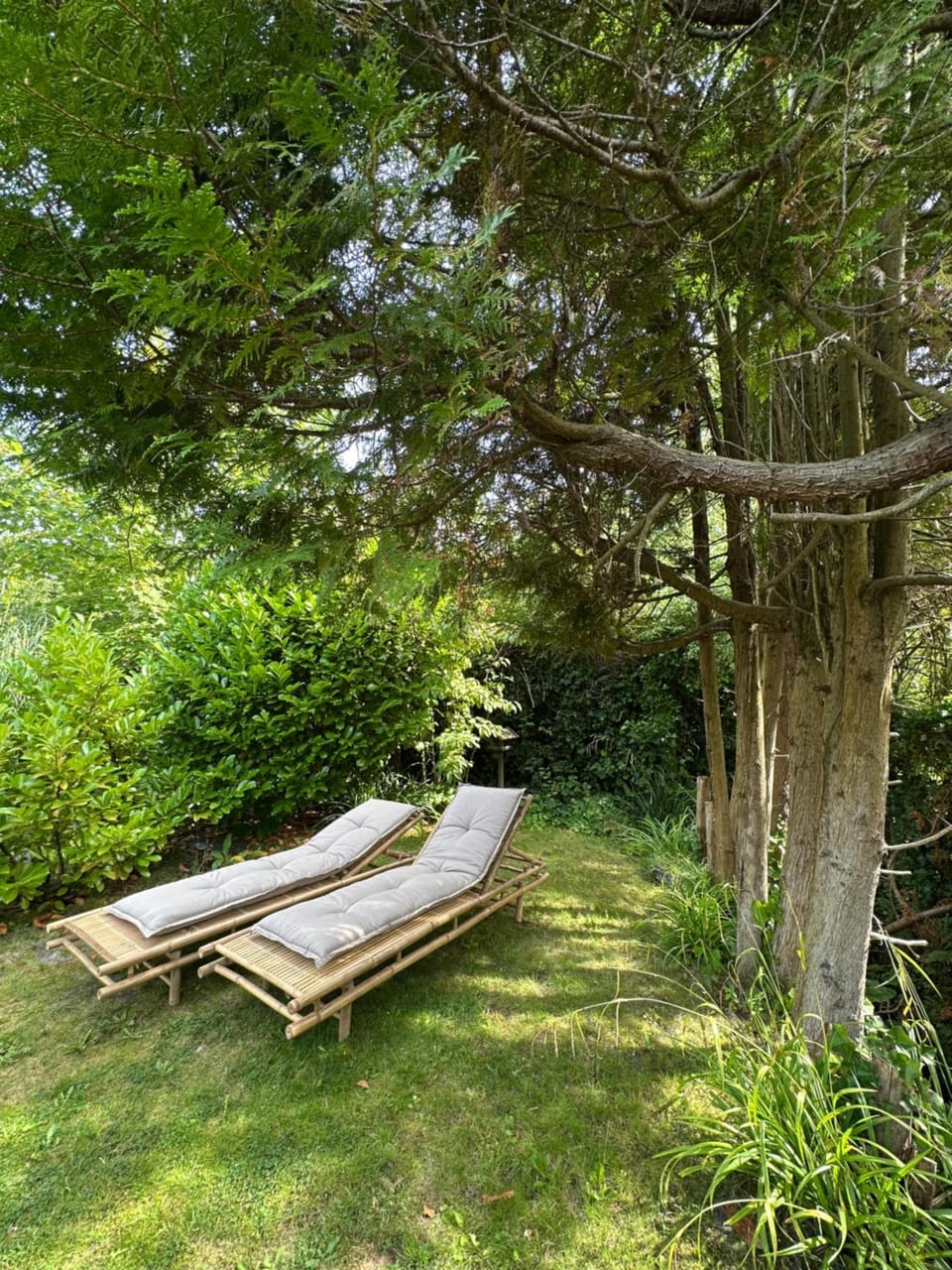 Garden, sunbed