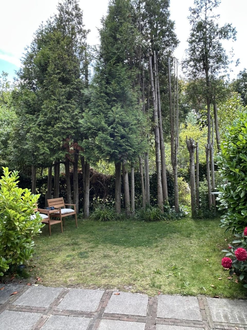 Garden, Garden view
