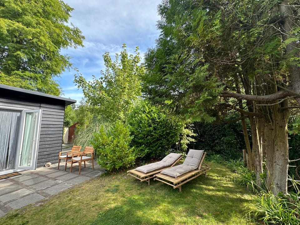 Garden, Garden view, sunbed