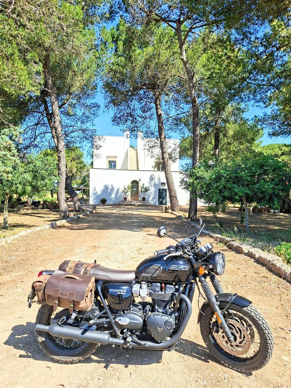 Masseria Fracchicchi Bed and Breakfast in Apulia