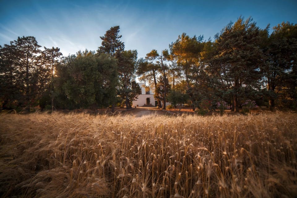 Masseria Fracchicchi Bed and Breakfast in Apulia