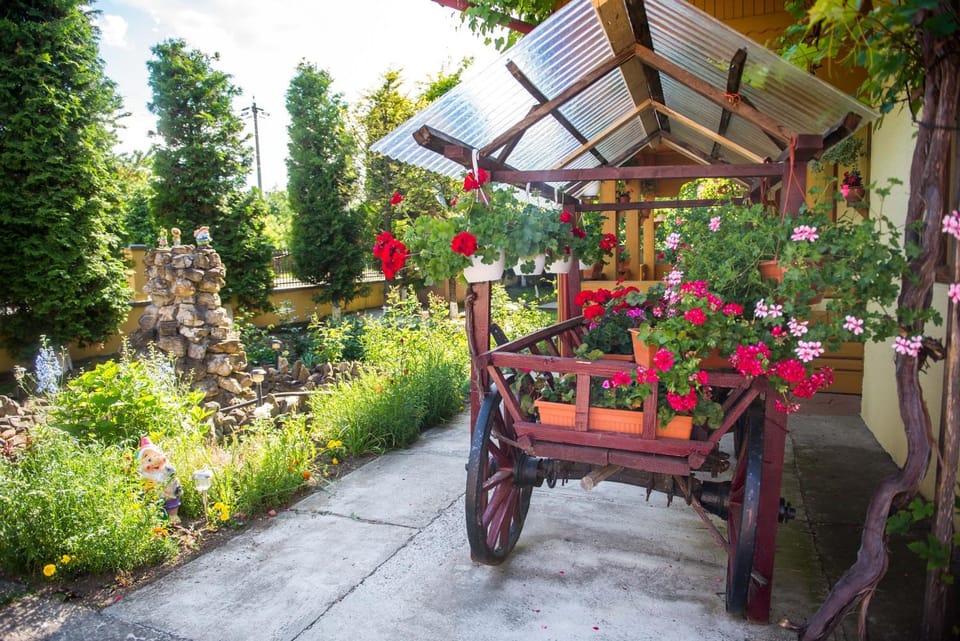 Casa Andreea Bed and Breakfast in Romania