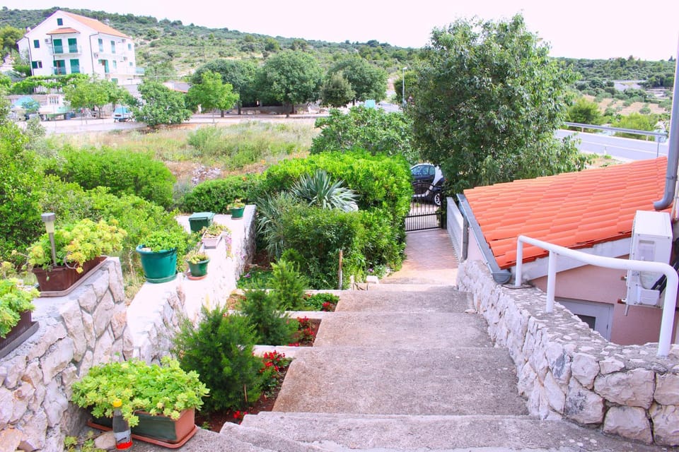 Patio, Garden