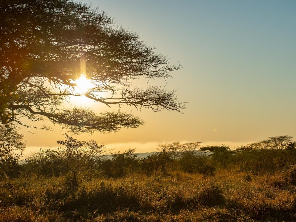 Natural landscape, Sunset