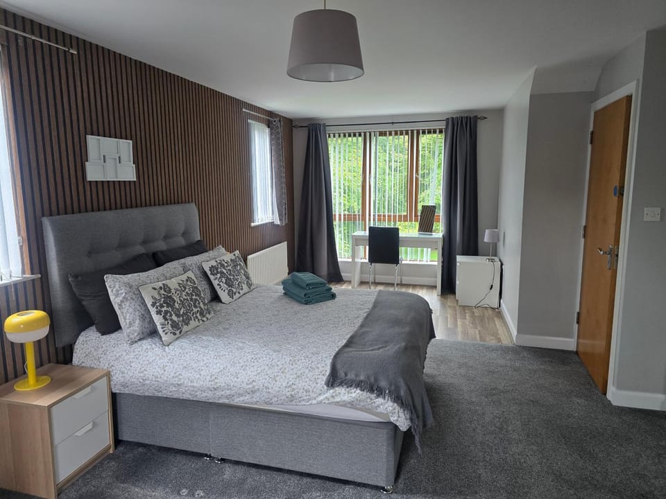 Alexandra Park Town House 223 Vacation rental in Belfast