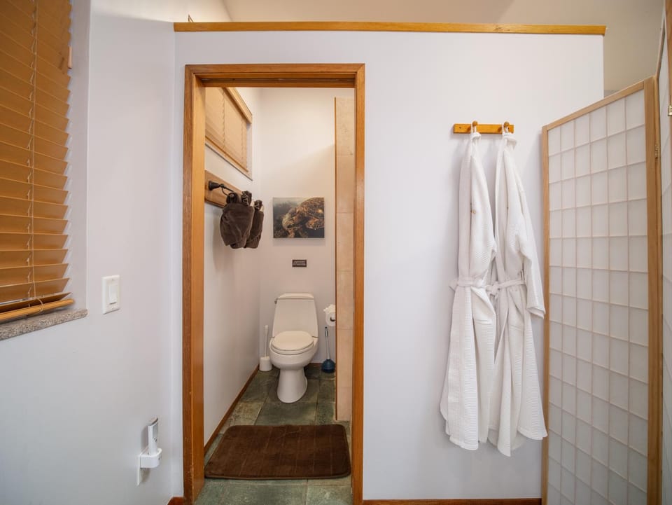 Toilet, Bathroom, towels
