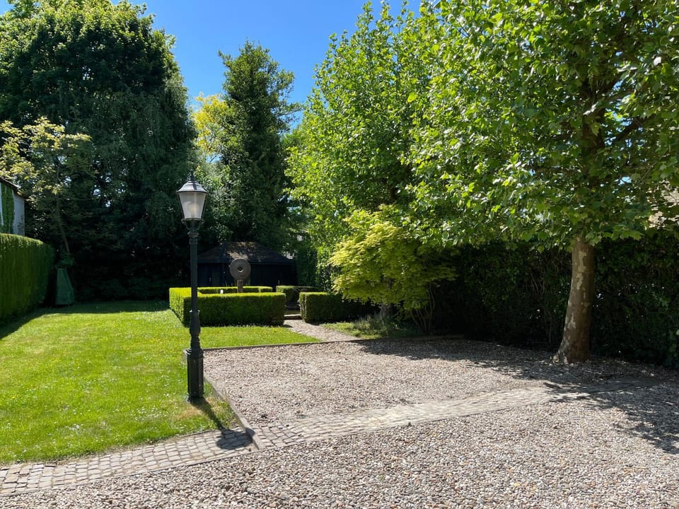 Garden view