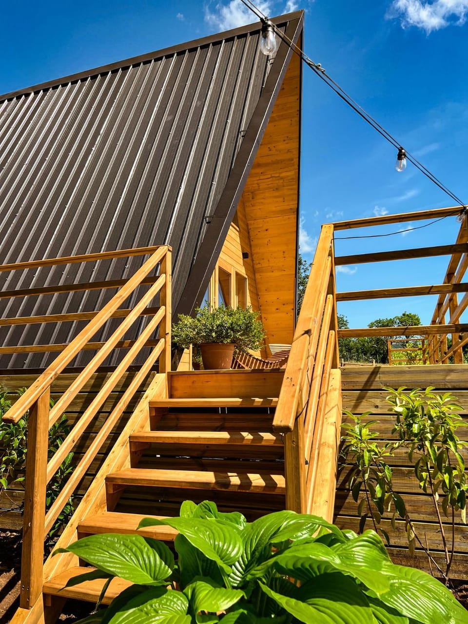 Garden, Garden view