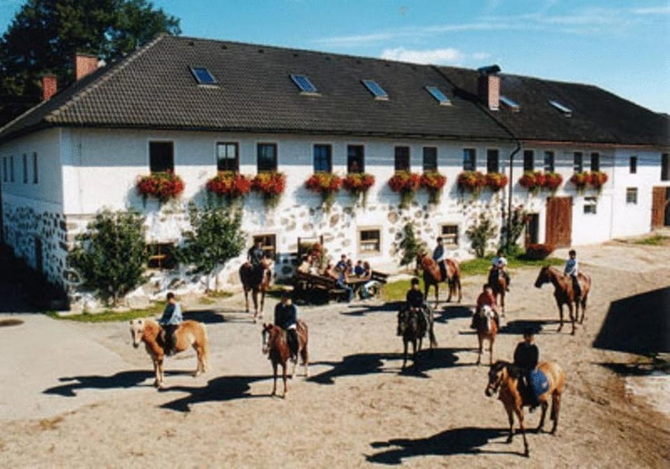 Reiterhof Stöglehner Farm Stay in Upper Austria