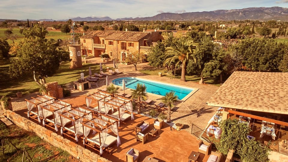 Garden, Swimming pool, Alcoholic drinks