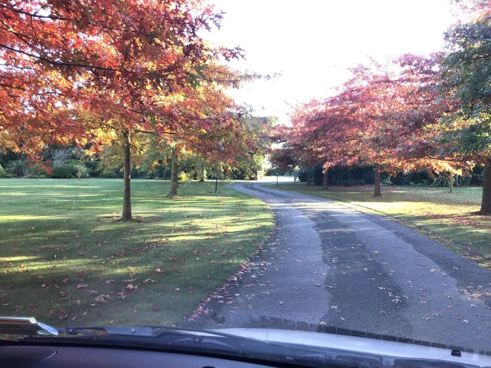 Garden, Garden view