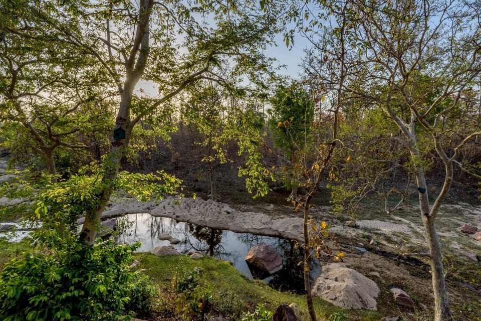 River view