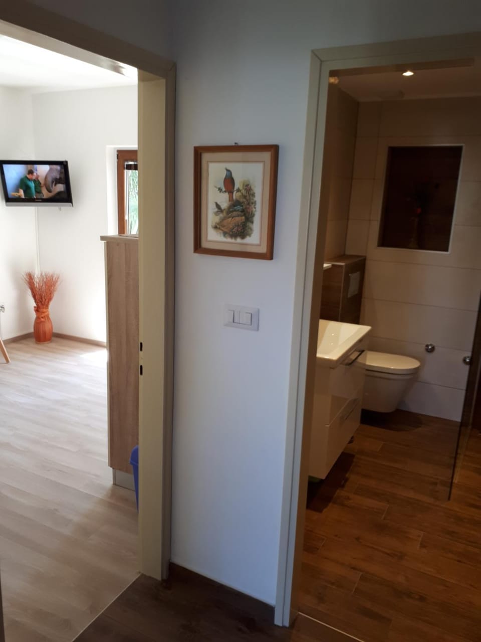 Bathroom, Living room