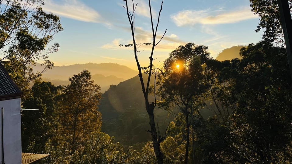 Spring, Mountain view, Sunrise