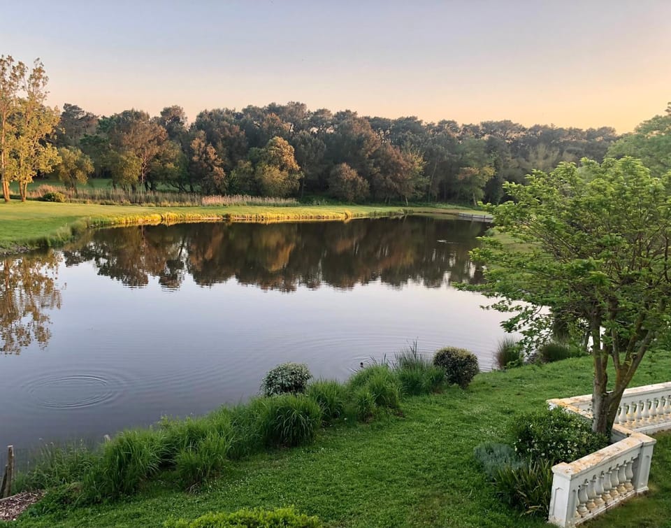 Lake view