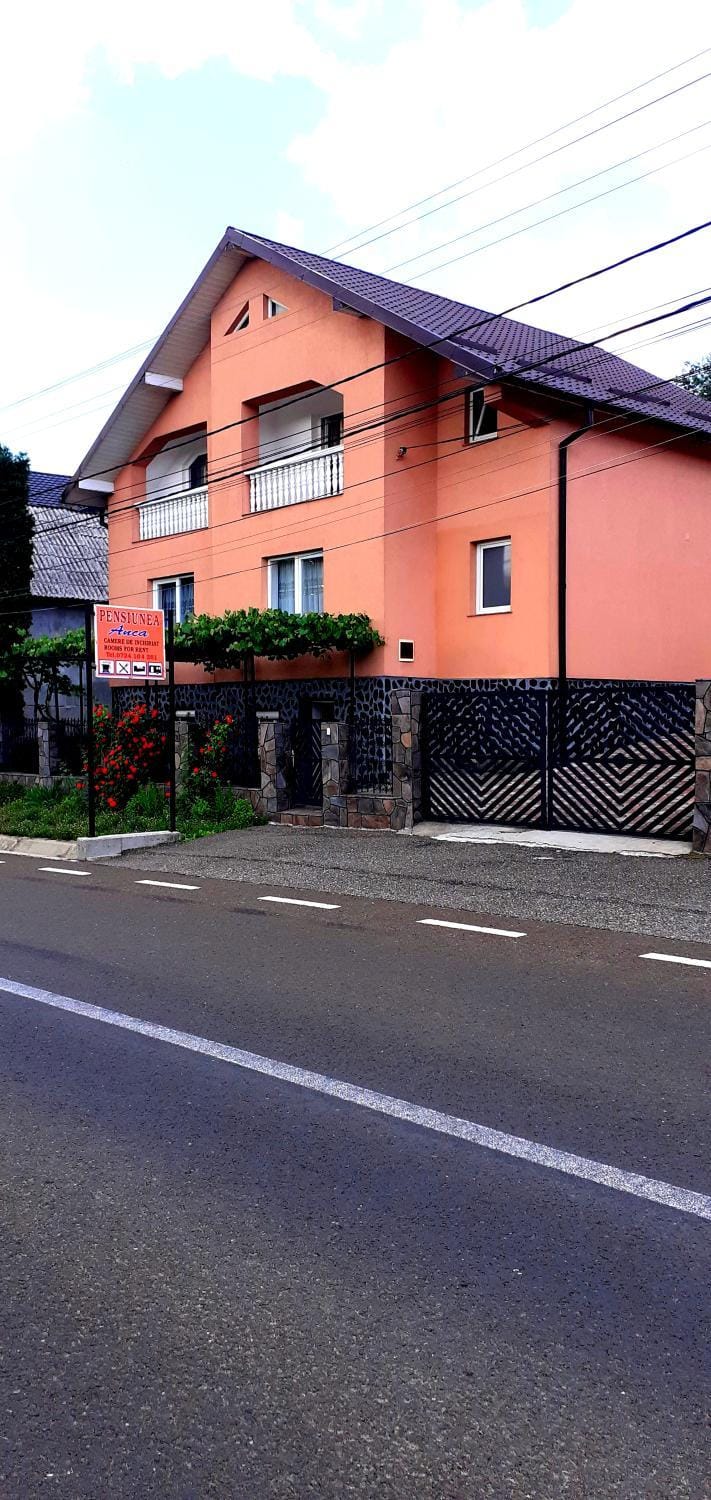 Pensiunea Anca Bed and Breakfast in Romania
