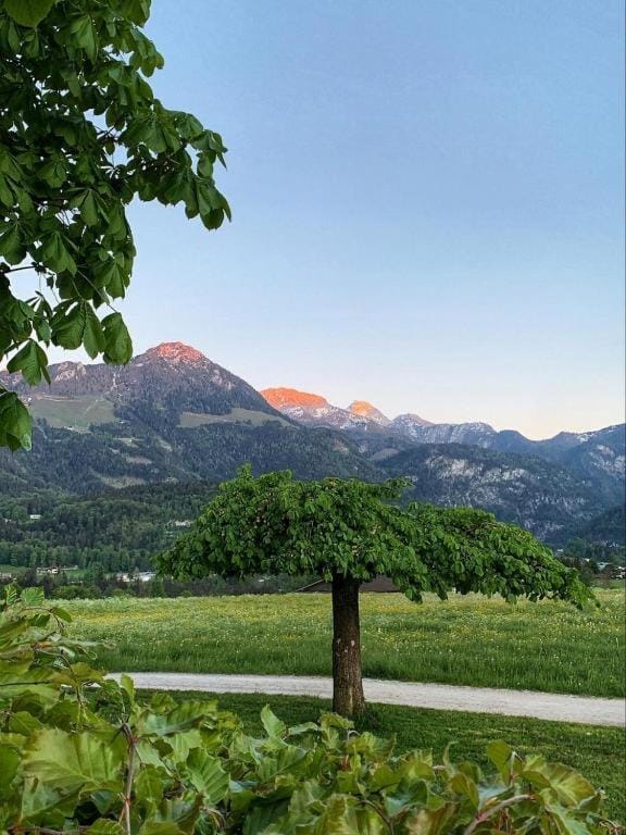 Pension Kohlhiasl Bed and Breakfast in Schönau am Königssee