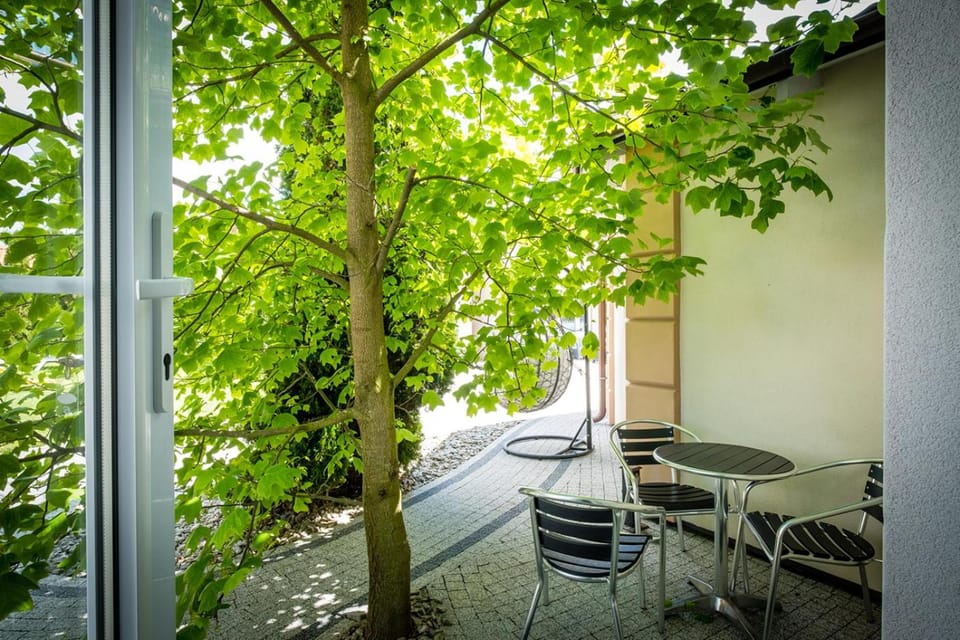 Patio, Garden, Garden view
